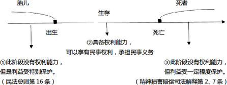 自然人法律定义