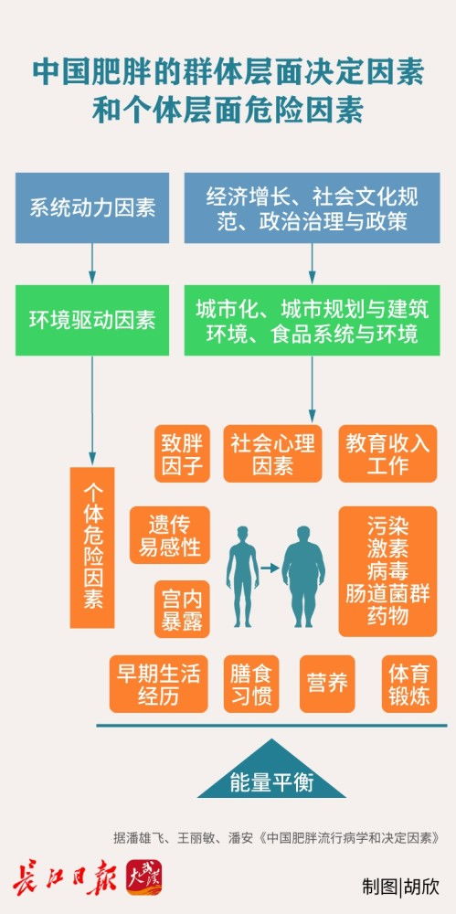 我国公共卫生法律体系的组成是