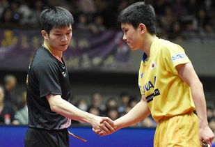 张本智和碎了，挑战与重生的故事