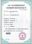 计算机软件著作权产业发展分析报告