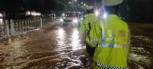 辟谣，暴雨后水中抓鱼并非明智之举