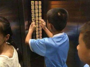 小孩斗气躺地遭碾压，悲剧背后的启示