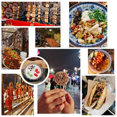 味蕾之旅，暑期新选择，探索美食的无限可能