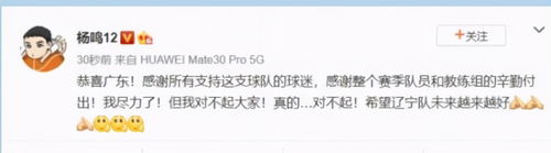 郑钦文回应金牌去向，荣誉的归宿与未来的展望