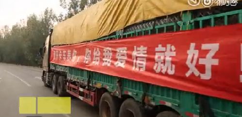 女货车司机月入六万，坚韧与智慧的力量