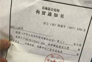 刑事拘留时间的法律解析与实践应用