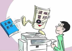 闹离婚争乌龟抚养权，现代家庭纷争的新焦点