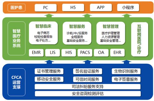 城镇居民基本医疗保险，构建全民健康保障体系的关键一环