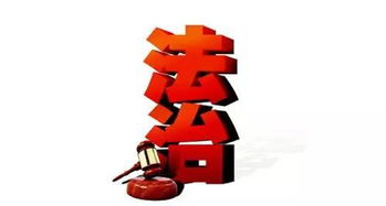 行政执法责任制，构建高效法治政府的关键