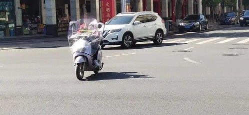摩托车违法闯高速，安全与法规的警钟