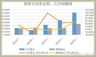 净资产收益率公式的深度解析与应用策略