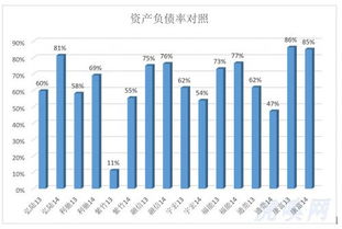 净资产收益率公式的深度解析与应用策略