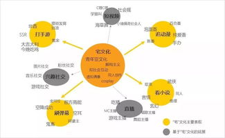 社会关系是什么，从个体到群体的连接艺术