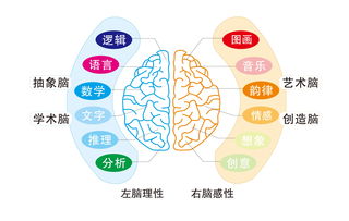 社会关系是什么，从个体到群体的连接艺术