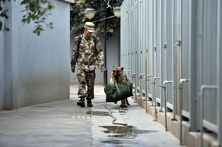 退伍小伙的行李与信任之旅