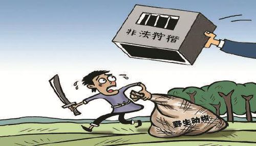 刑事附带民事诉讼，正义的双刃剑