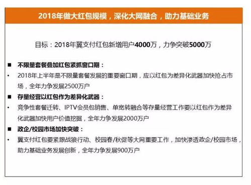 社保是什么意思，构建未来安全网的关键