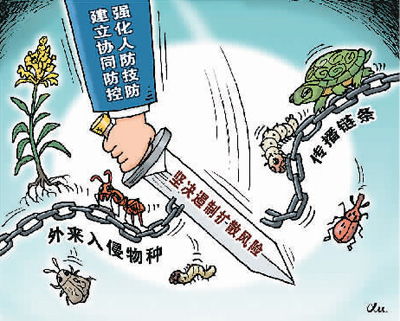 河南现外来入侵物种，警惕与应对