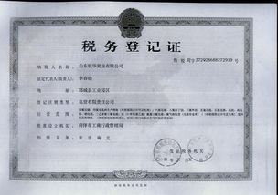 税务登记证号的重要性及其对企业的影响