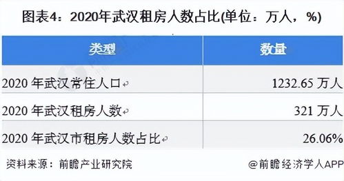 洛南县房屋出租市场现状与趋势分析