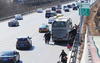衡阳市交通违章查询，便捷与规范并行的城市交通管理新风貌