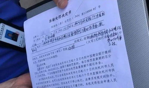 财政部开出顶格罚单，警示与反思