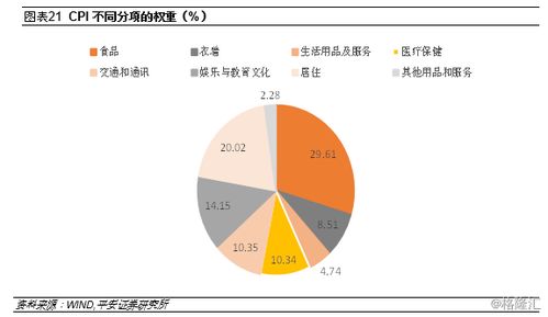 法定退休年龄的演变与未来展望