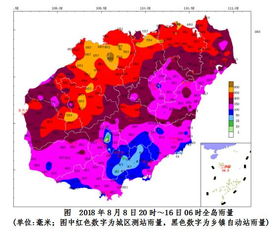 台风贝碧嘉登陆上海，城市应对与影响分析