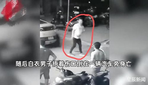 男子被砍后反杀凶手，法律与人性的较量