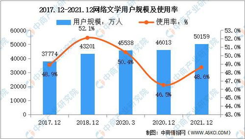 网络公司经营范围，探索数字时代的多元业务版图