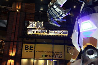 辟谣上海高达剩半身，真相与误解的较量