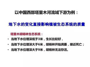 辟谣合肥高层现裂缝，科学解析与真实情况探究