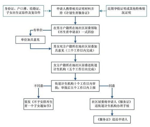 单独二胎政策下的生育选择，全面解读单独二胎办理流程