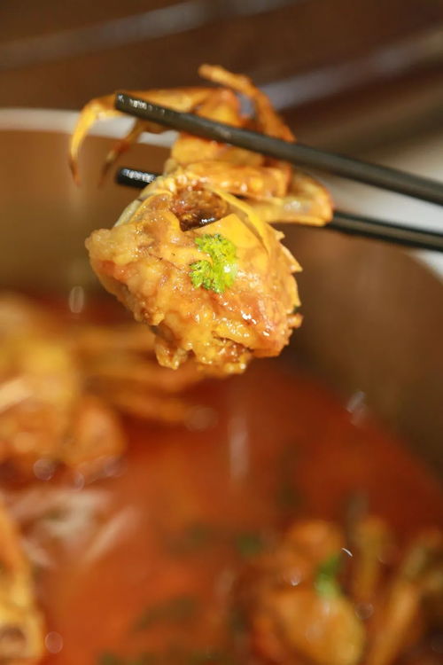 新一届蟹王蟹后争霸记