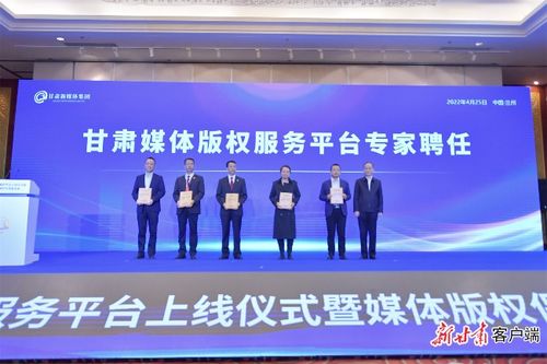 版权保护中心，构建文化创新的坚实盾牌