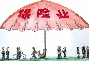 全面解读人身保险险种，守护您的幸福生活