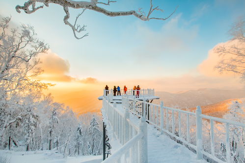 赏秋变看雪，内蒙古之旅的别样风情