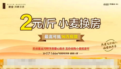 河南婚假新规定，28天排全国第四，展现人文关怀的新篇章