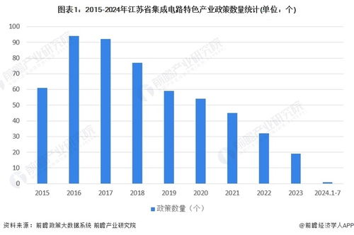 政府扶持项目，推动社会经济发展的关键引擎