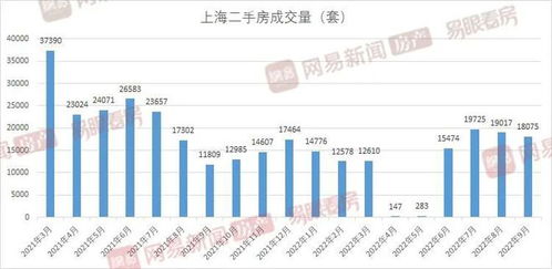 上海新盘到访量增加背后的原因与影响分析