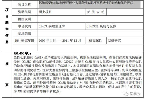 标准化招标书格式撰写指南