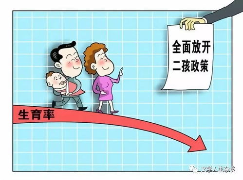 中国二胎生育政策的演进及其社会影响