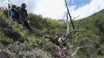 哀牢山景区安全警示，守护美丽，责任重于山