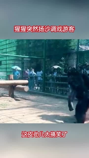 商家扬沙驱赶游客，一场关于商业伦理与公共空间的思考