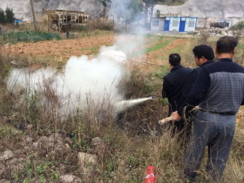 嵩山垃圾被当众焚烧，环保与治理的困境