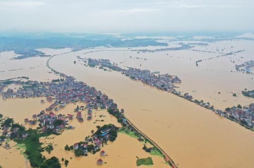 鄱阳湖跌破极枯水位，生态警钟与水资源管理的挑战