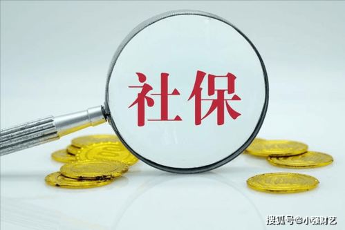 全面解析养老金缴费基数，保障晚年生活的关键因素