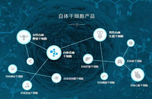 央视曝光干细胞骗局，揭开生物科技领域的虚假面纱