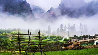 扎尕那拦断国道收费，一场关于公共资源与私人利益的博弈