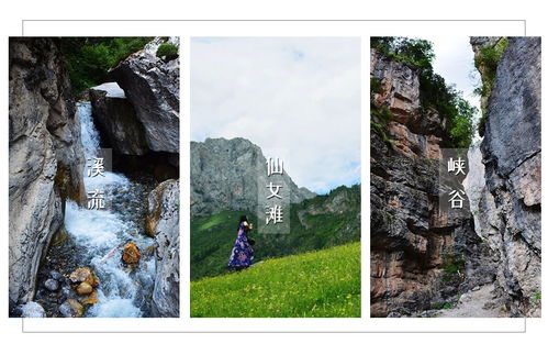 扎尕那拦断国道收费，一场关于公共资源与私人利益的博弈